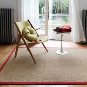 Amazing Sisal Rugs