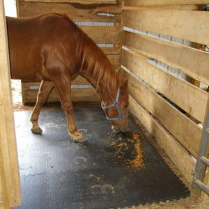 Best Horse Stall Mats Dubai