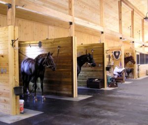 Best Quality Horse Stall Mats