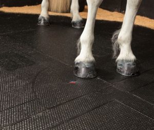 Elegant Horse Stall Mats