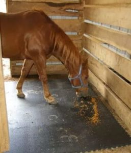 First Class Horse Stall Mats