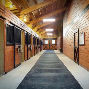First Class Horse Stall Mats Dubai