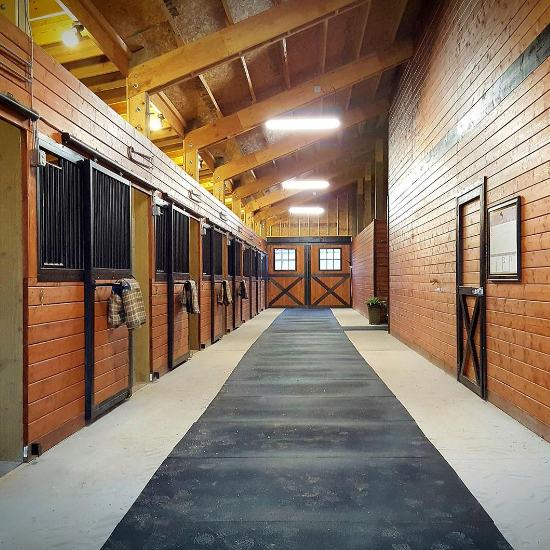 First Class Horse Stall Mats Dubai