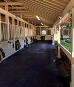 Perfect Horse Stall Mats