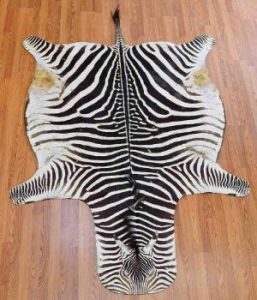 Perfect animal skin rugs