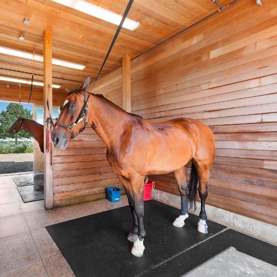 Reliable Horse Stall Mats