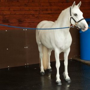 Stunning Horse Stall Mats Dubai