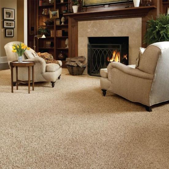 Coir Floor Carpet