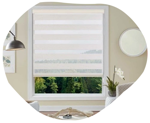 Roller Window Blinds