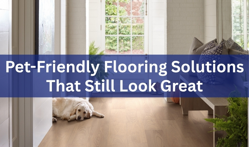 Pet-Friendly Flooring Solutions That Still Look Great (1)